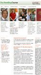 Mobile Screenshot of dryneedlingcourse.com